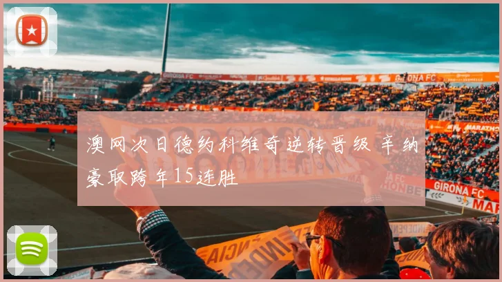 澳网次日德约科维奇逆转晋级 辛纳豪取跨年15连胜