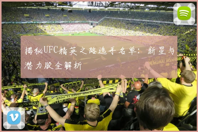 揭秘UFC精英之路选手名单：新星与潜力股全解析
