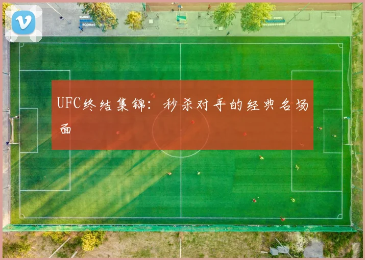 UFC终结集锦：秒杀对手的经典名场面