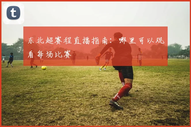 东北超赛程直播指南：哪里可以观看每场比赛