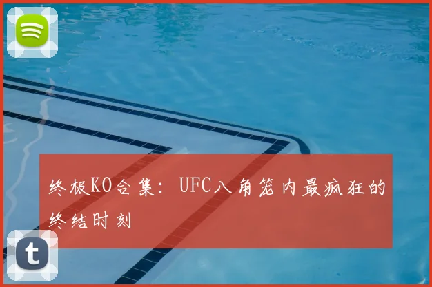 终极KO合集：UFC八角笼内最疯狂的终结时刻
