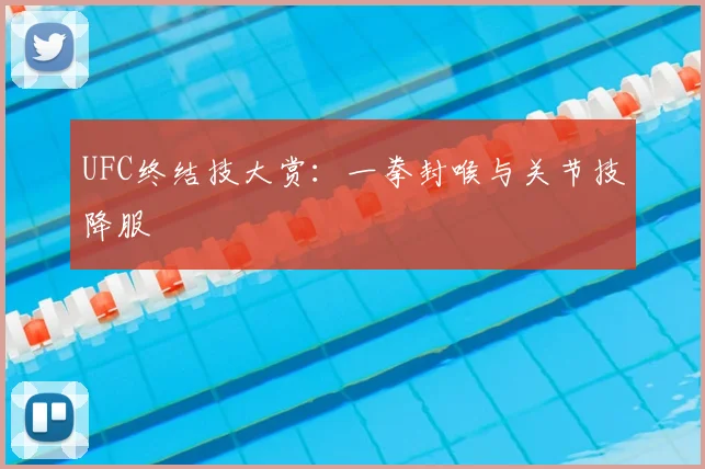 UFC终结技大赏：一拳封喉与关节技降服
