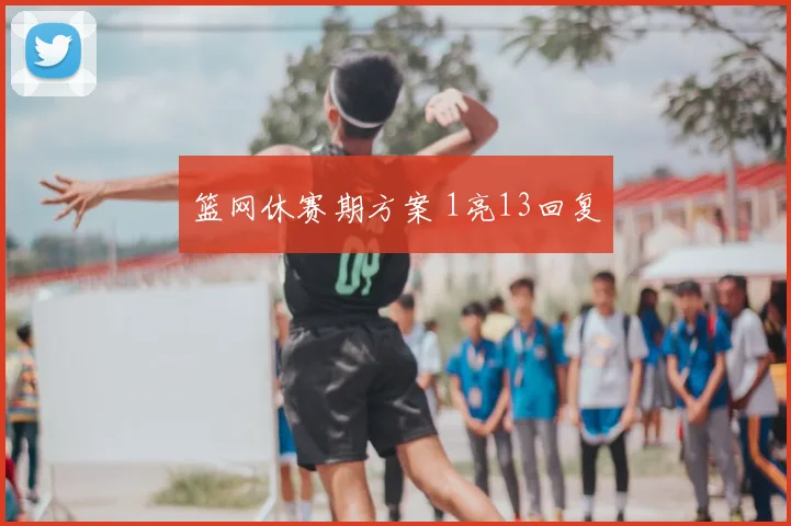 篮网休赛期方案 1亮13回复