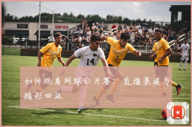 如何观看网球公开赛：直播渠道与精彩回放