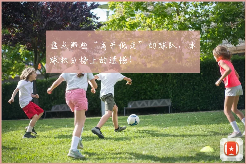 盘点那些“高开低走”的球队，冰球积分榜上的遗憾！
