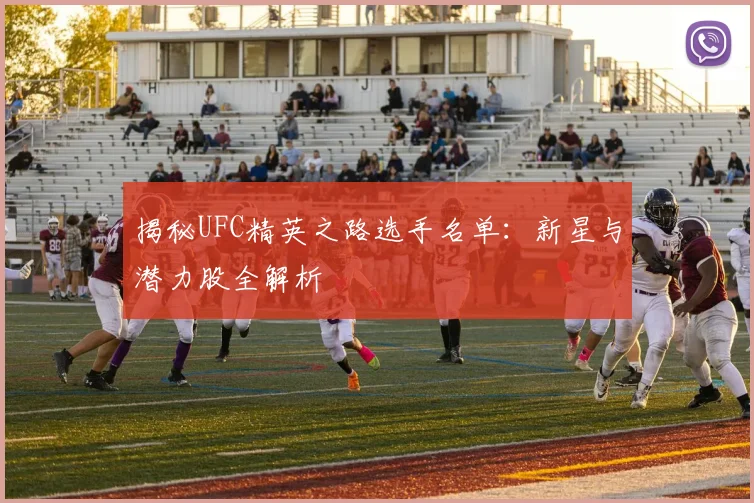 揭秘UFC精英之路选手名单：新星与潜力股全解析