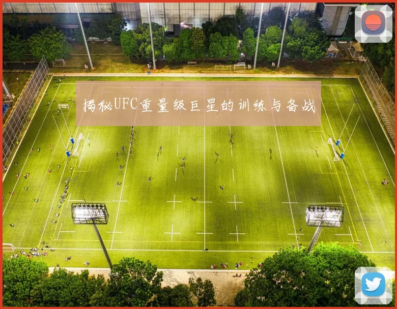 揭秘UFC重量级巨星的训练与备战