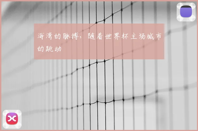 海湾的脉搏，随着世界杯主场城市的跳动