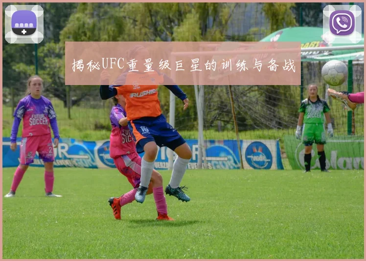 揭秘UFC重量级巨星的训练与备战