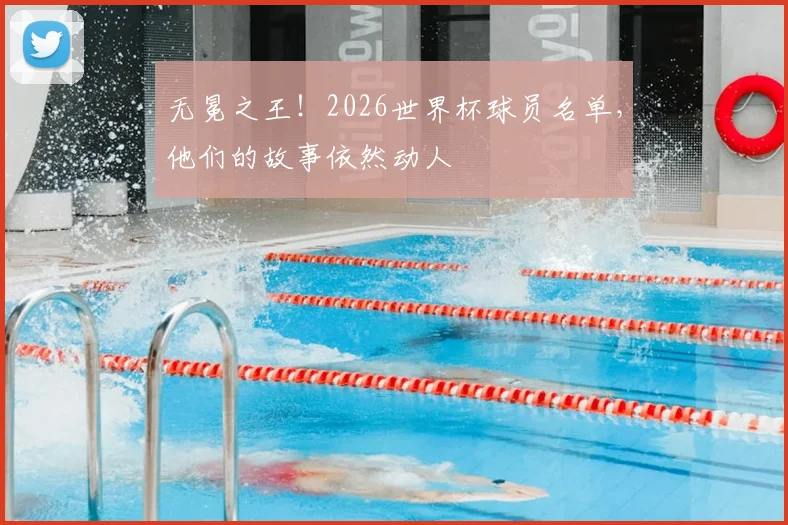 无冕之王！2026世界杯球员名单，他们的故事依然动人