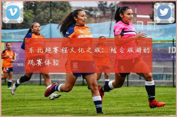东北超赛程文化之旅：结合旅游的观赛体验