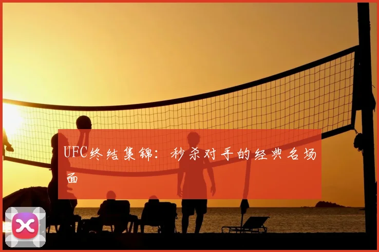 UFC终结集锦：秒杀对手的经典名场面