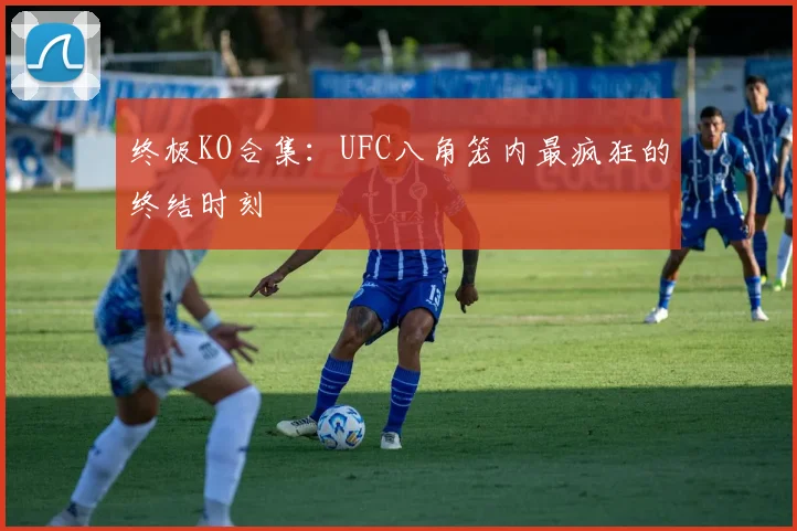 终极KO合集：UFC八角笼内最疯狂的终结时刻