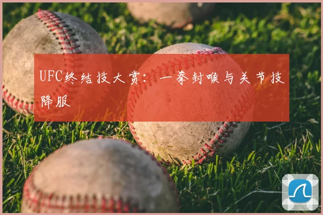 UFC终结技大赏：一拳封喉与关节技降服