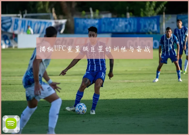 揭秘UFC重量级巨星的训练与备战