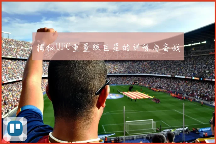 揭秘UFC重量级巨星的训练与备战