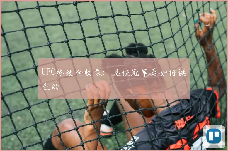 UFC终结全收录：见证冠军是如何诞生的